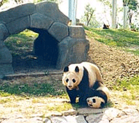 Chengdu