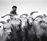 Kashgar