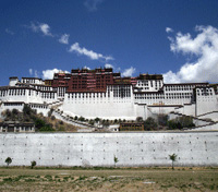 Lhasa Lhasa