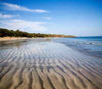 Tamarindo Tamarindo