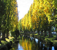Christchurch