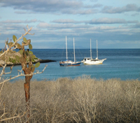 Rabida (Jervis) Island