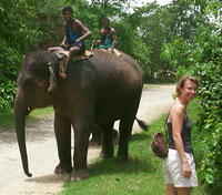 Chitwan