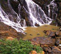 Wayanad