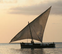 Lamu Lamu