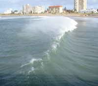 Port Elizabeth 