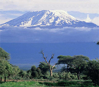 Kilimanjaro Kilimanjaro