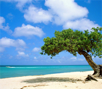 Palm Beach