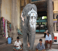 Madurai