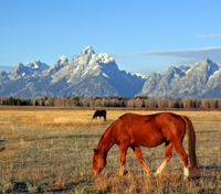 Jackson Hole