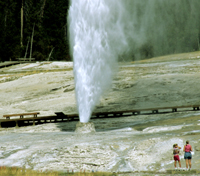 Yellowstone Park