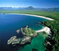 Tofino