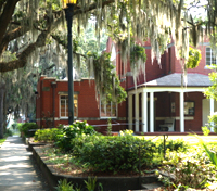 Savannah Savannah