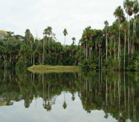 Puerto Maldonado