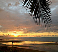Nadi