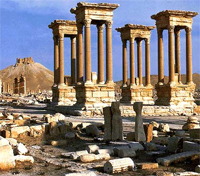 Palmyra Palmyra