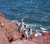 Puerto Madryn