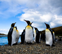 Antarctica