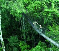 Iquitos Iquitos