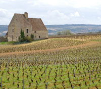 Beaune