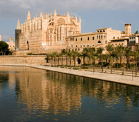 Palma Palma