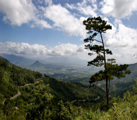 Dalat