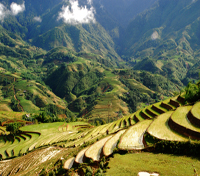 Sapa