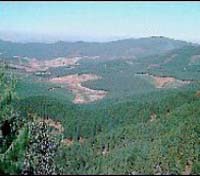 Hazyview