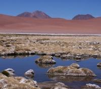 Lago del Desierto