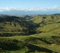 Martinborough