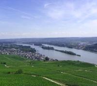 Ruedesheim