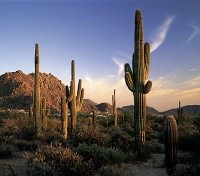 Scottsdale Scottsdale