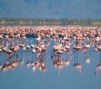 Lake Natron