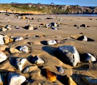 Carnac Beach