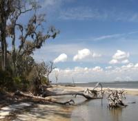 Jekyll Island