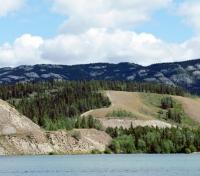 Whitehorse