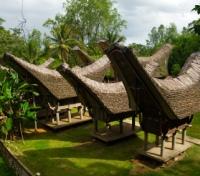Tongkonan Boat Houses