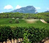 Languedoc Languedoc