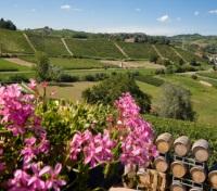 Langhe Region