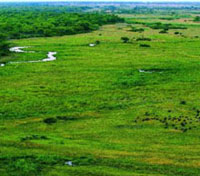 Linyanti Reserve