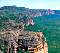 Kakadu