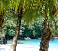 Tortuga Island Tortuga Island