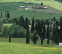 Chianciano Terme