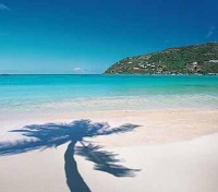 Tortola