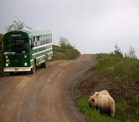 Guided Tour Bus Guided Tour Bus