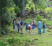 Countryside Excursion