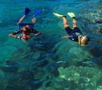 Snorkeling with Sea Lions