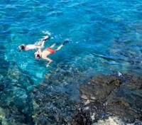 Reef Snorkeling