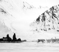 Dogsledding to New Grounds Dogsledding to New Grounds