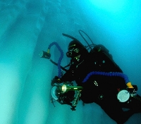 Diving the Antarctic Peninsula